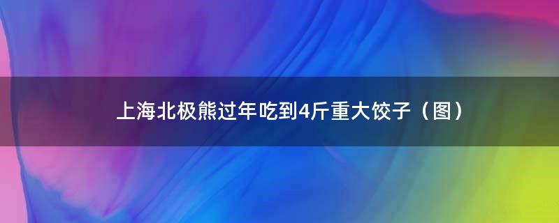 上海北极熊过年吃到4斤重大饺子（图）